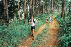 BIB: 
                            <button type="button" onclick="openModal(25687046)" class="btn btn-primary btn-sm float-right btn-popup" data-toggle="modal" data-target=".modal-high-quality">
                        <i class="fas fa-shopping-cart"></i> Add to Cart
                    </button>
                                            <button type="button" onclick="isThisMe(25687046, true)" class="btn btn-success btn-sm float-right btn-popup btn-isme hidden" data-toggle="tooltip" data-placement="bottom" title="นี่คือรูปของคุณใช่ไหม คลิกที่นี่เพื่อเอาเข้าอัลบั้ม">
                        <i class="fas fa-plus"></i> Add to album
                    </button>
                    <button type="button" onclick="isThisMe(25687046, false)" class="btn btn-warning btn-sm float-right btn-popup btn-isnotme hidden">
                        <i class="fas fa-ban"></i> Remove from album
                    </button>